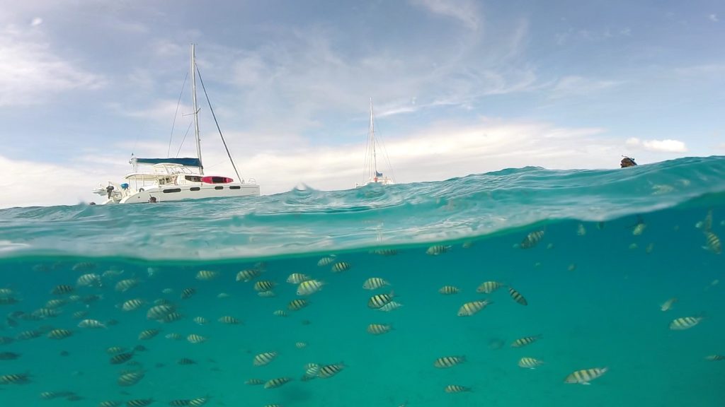 Barbados Sailing