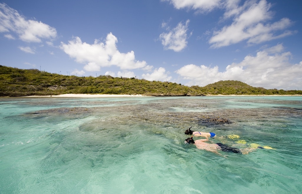 Snorkeling Green Island